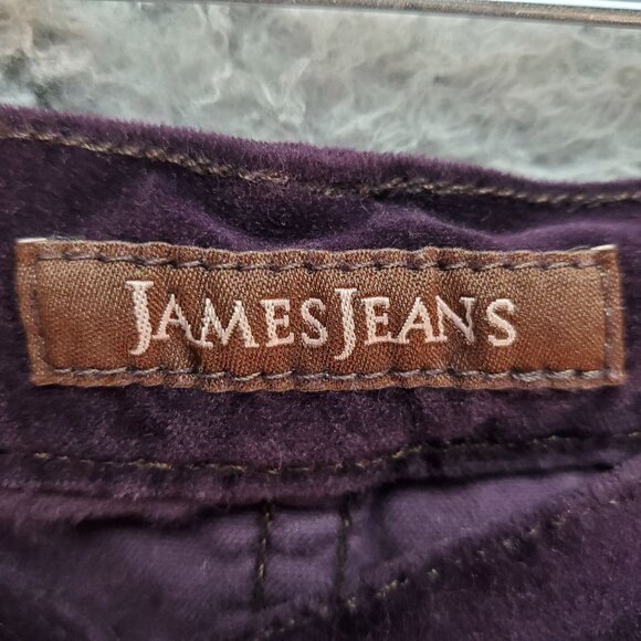 James Jeans Womens 28 Twiggy Purple Skinny Corduroy USA-Made - Picture 2 of 9